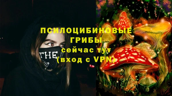 СК Аркадак