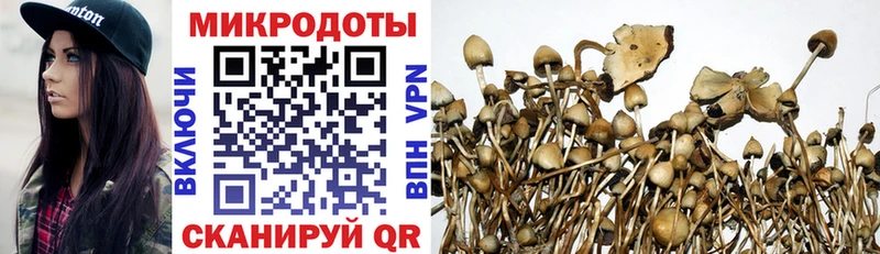продажа наркотиков Холм Галлюциногенные грибы мицелий